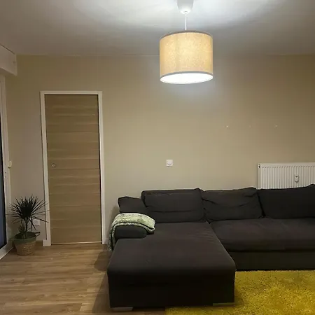 Elegant فالنسيان